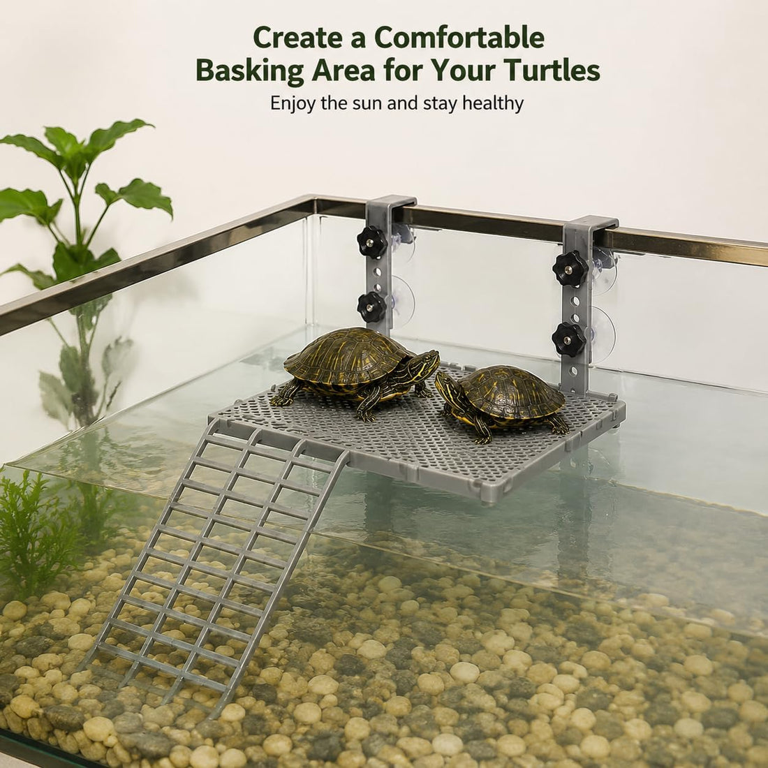 Turtle basking Platform Suitable for 20–75-Gallon Aquariums