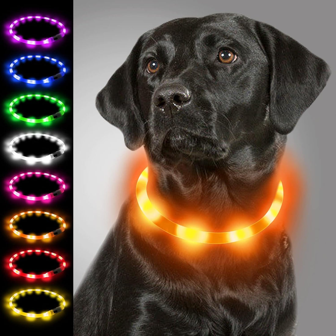 Joytale Light Up Dog Collar, LED Silicone Cut-to-Fit Rainproof