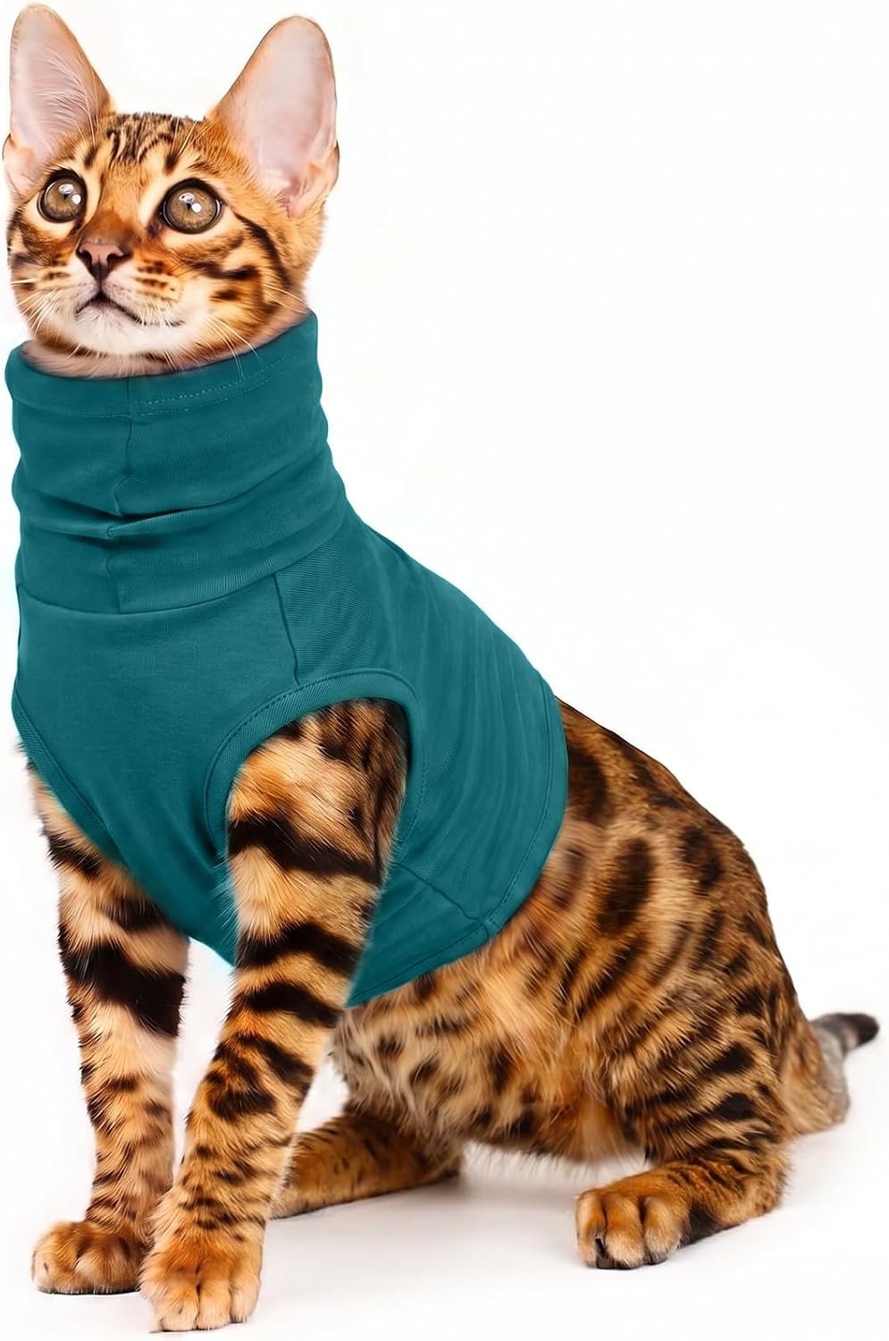 ROZKITCH Cat Neck Protector Wound Cover, Dog Surgery Recovery Suit