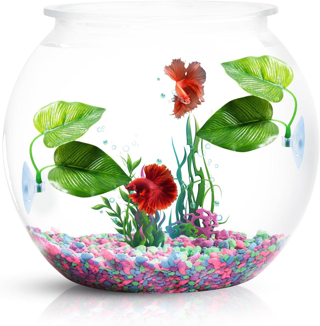 CousDUoBe 2 Pack Betta Fish Leaf Pad Improves Betta's Health by