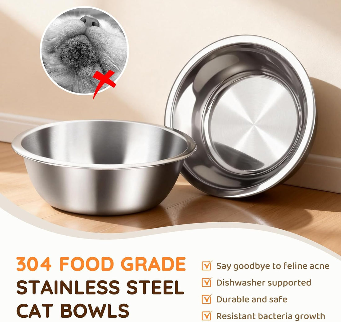 Elevated Cat Food Bowls with Mat