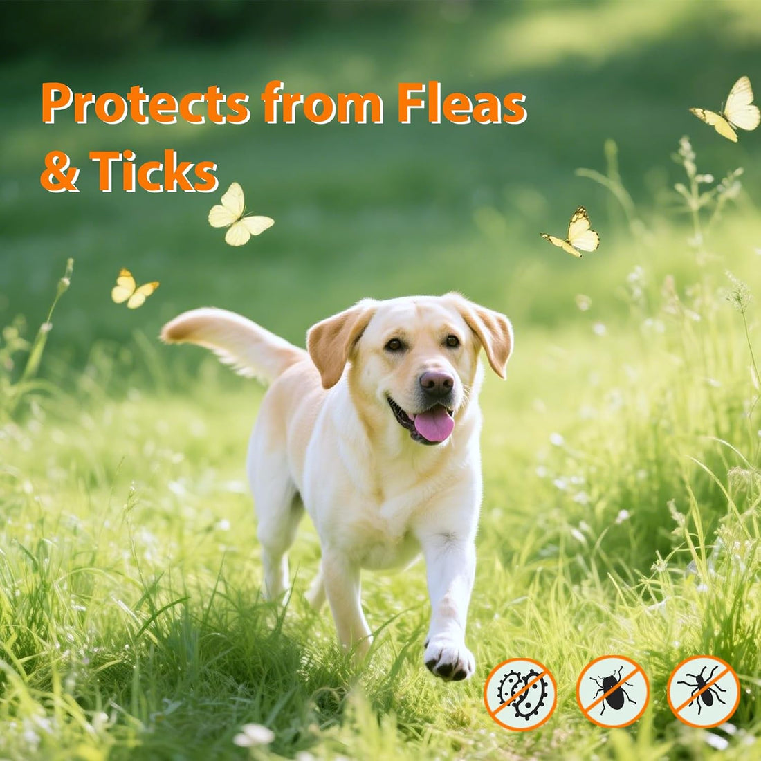 Flea and Tick Prevention for Dogs Chewables