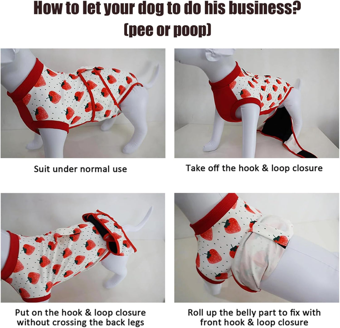 Recovery Suit for Dogs After Surgery