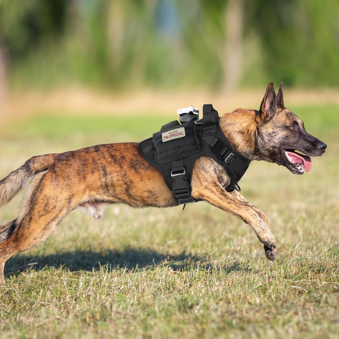 rabbitgoo Tactical Dog Harness for Large