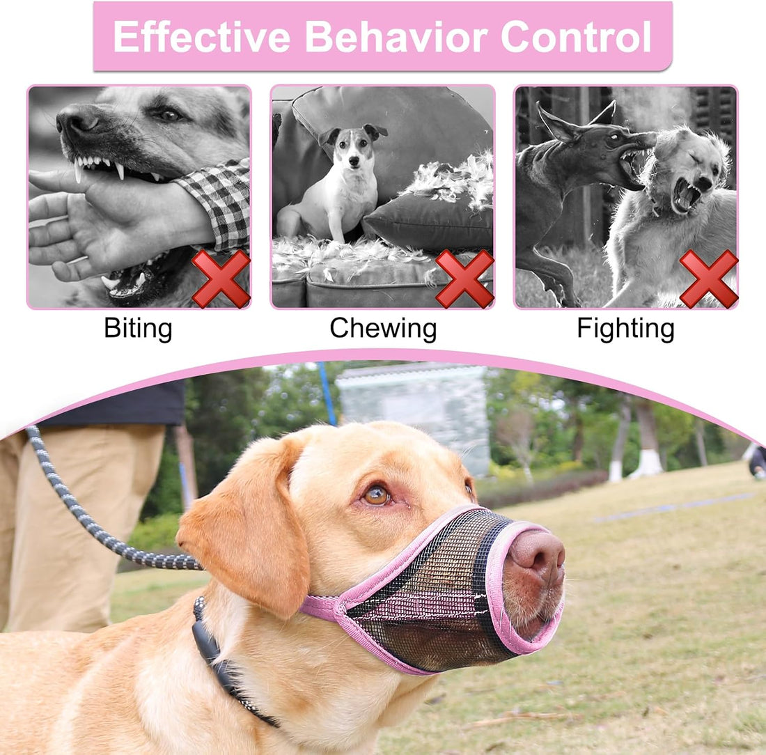 LUCKYPAW Mesh Dog Muzzle for Small Medium Dogs to Prevent Biting