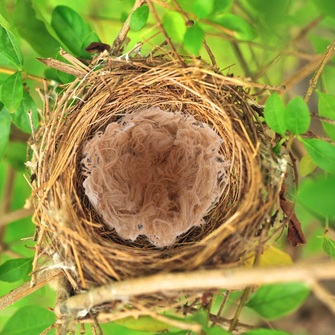 POPETPOP Bird Nesting Material Jute Rope 40g Box