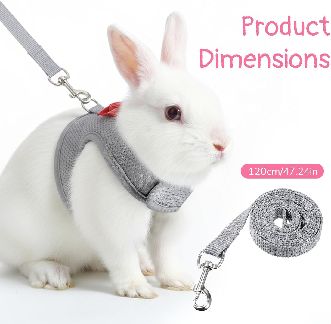 Bunny Harness and Leash Set Cute Bow Rabbit Leash Harness Set Escape
