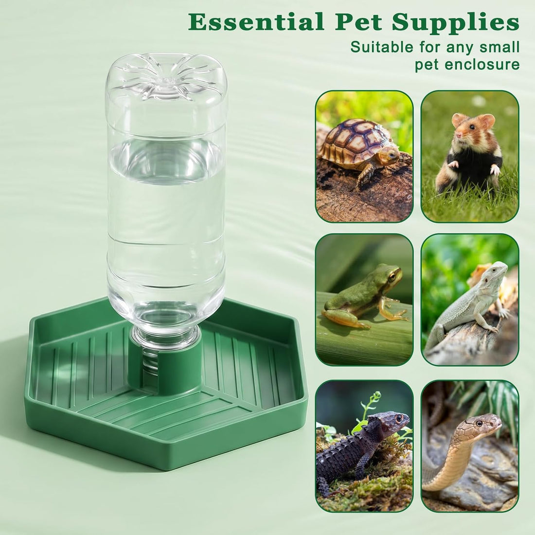 Reptile Water Dispenser, Tortoise Water Dish Bearded Dragon Water-Bowl