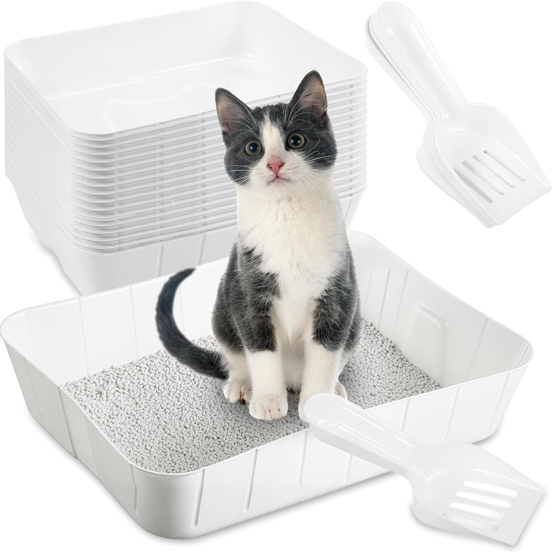 Bokon Pcs 50 Disposable Litter Boxes for Cats with Scoop, White