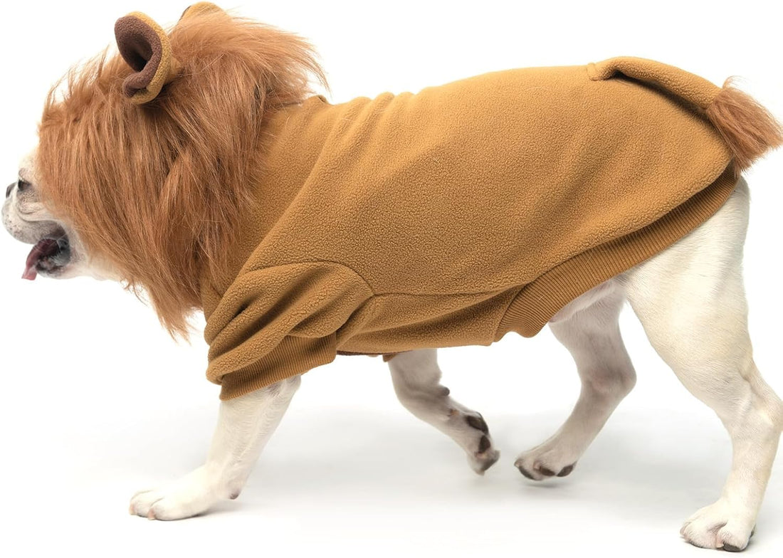 KOOLTAIL Dog Lion Mane Costume Clothes