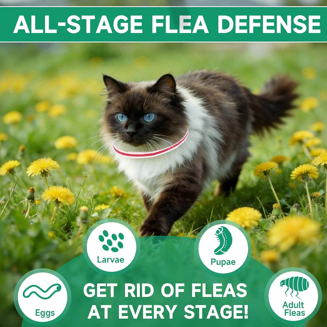 Flea Collar for Cats, 4 Pack Flea and Tick Prevention for Cats