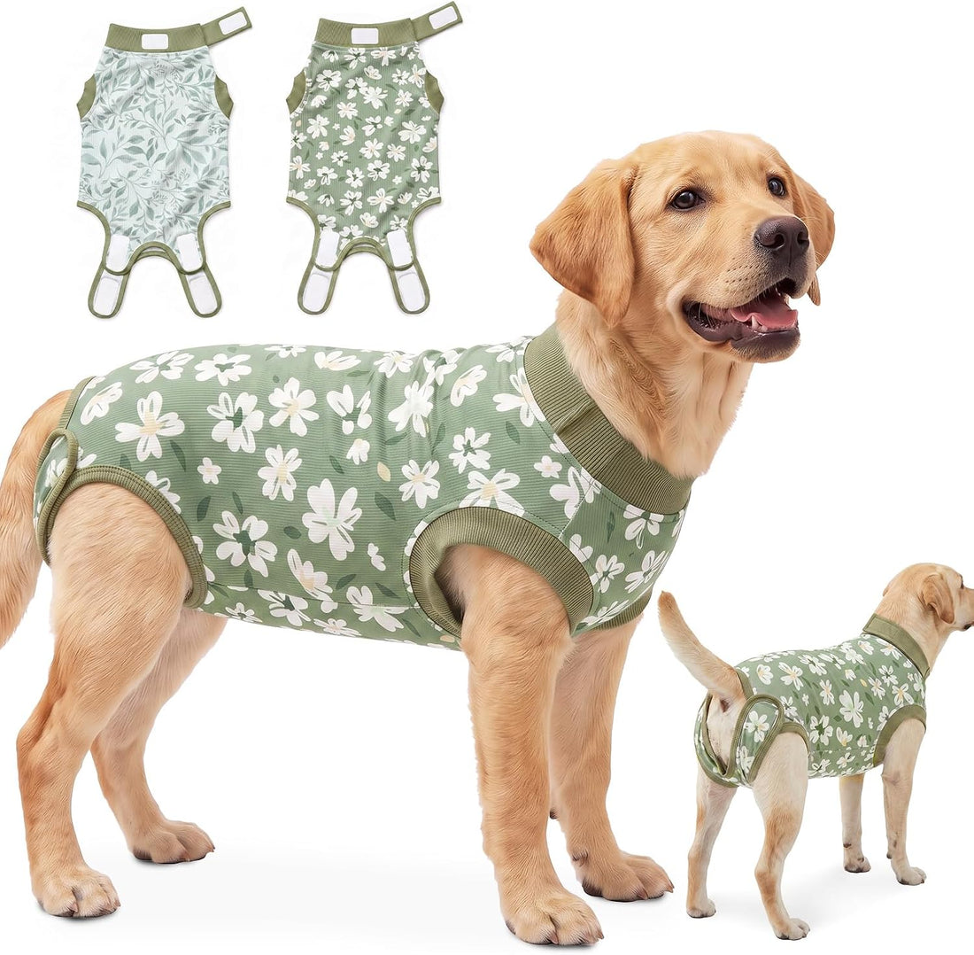 Glittme 2-Pack Ribbed Dog Surgery Recovery Suits for Female Dogs
