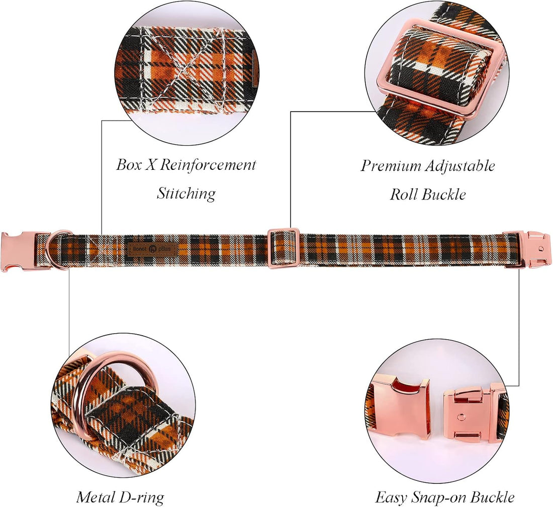 Lionet Paws Halloween Dog Collar with Bowtie