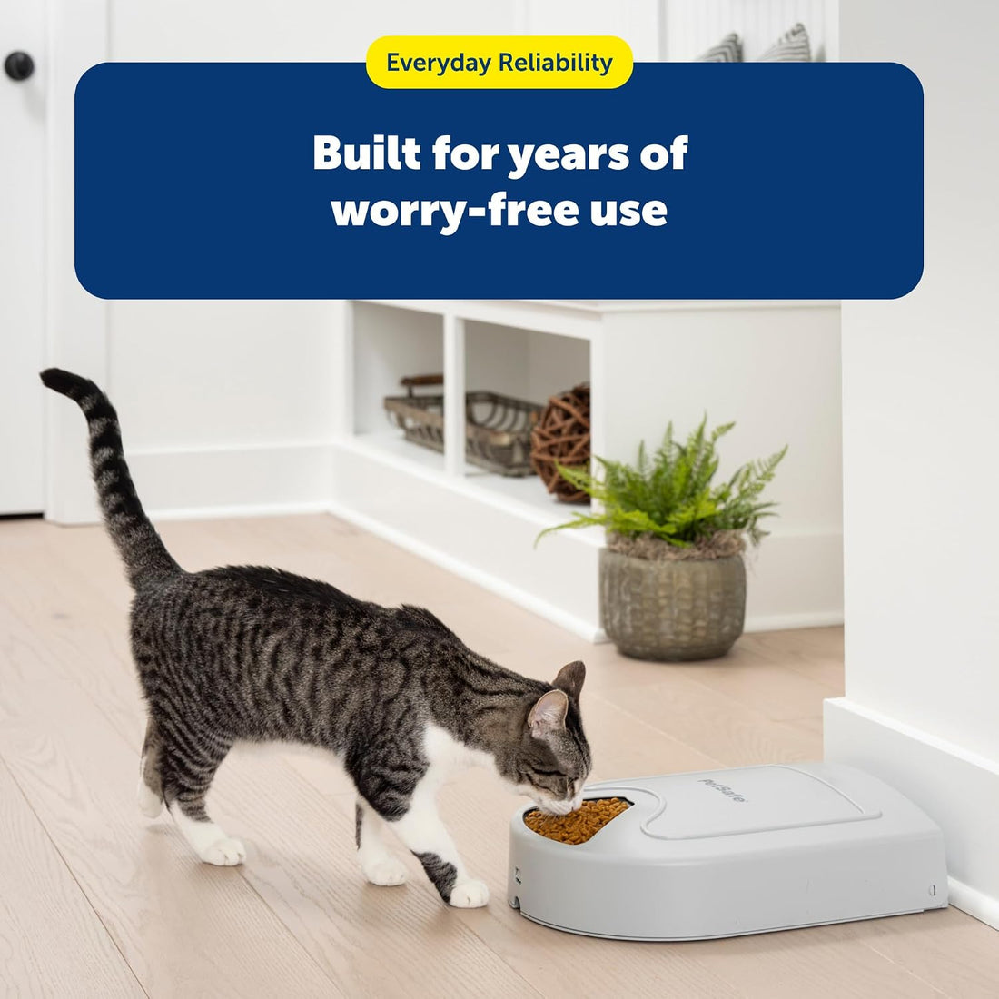 PetSafe Automatic Dog Feeder, 5 Meals, 40 oz Capacity, Plastic