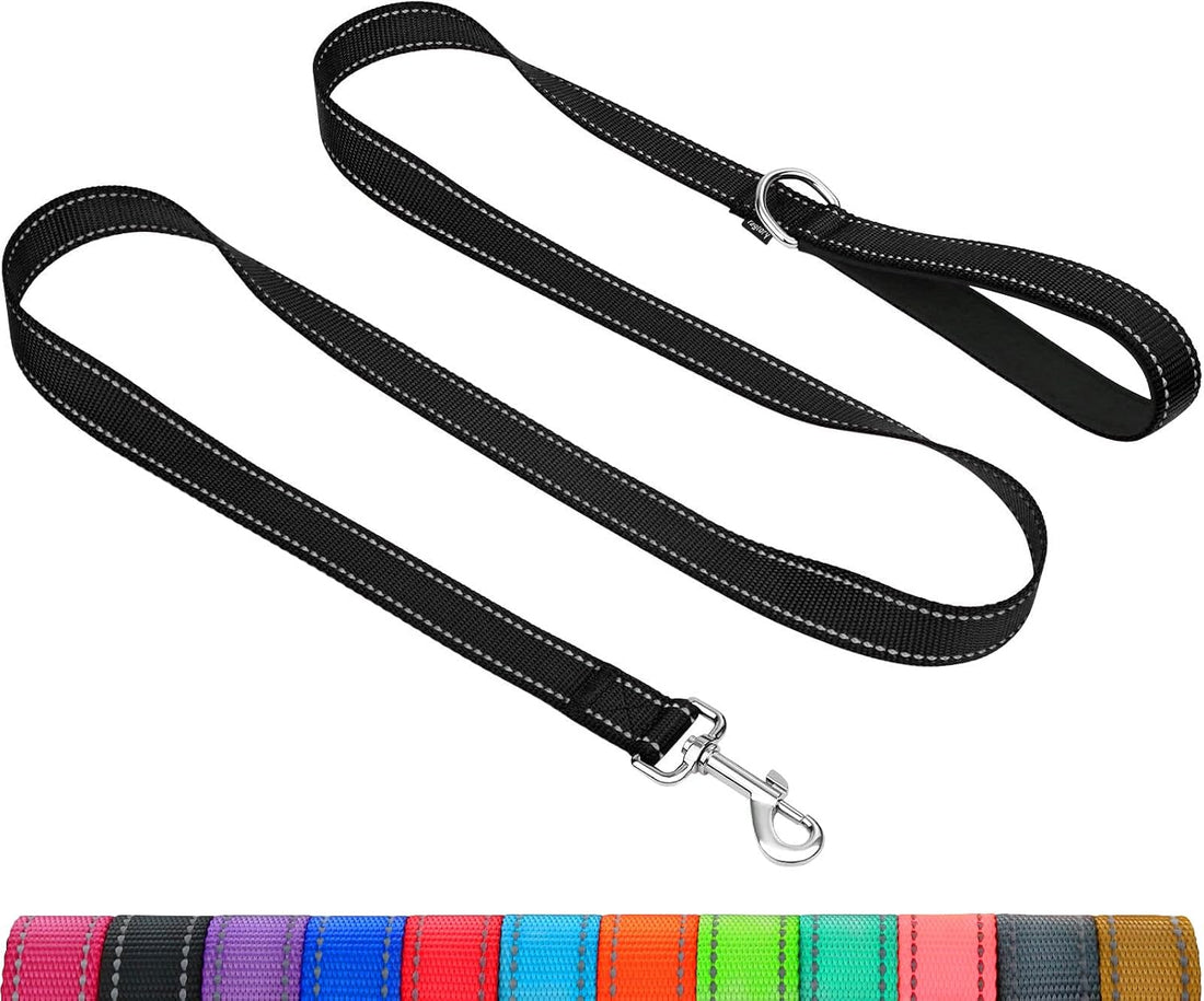 Taglory Reflective Dog Leash for Small Dogs, 3/4in x 4ft