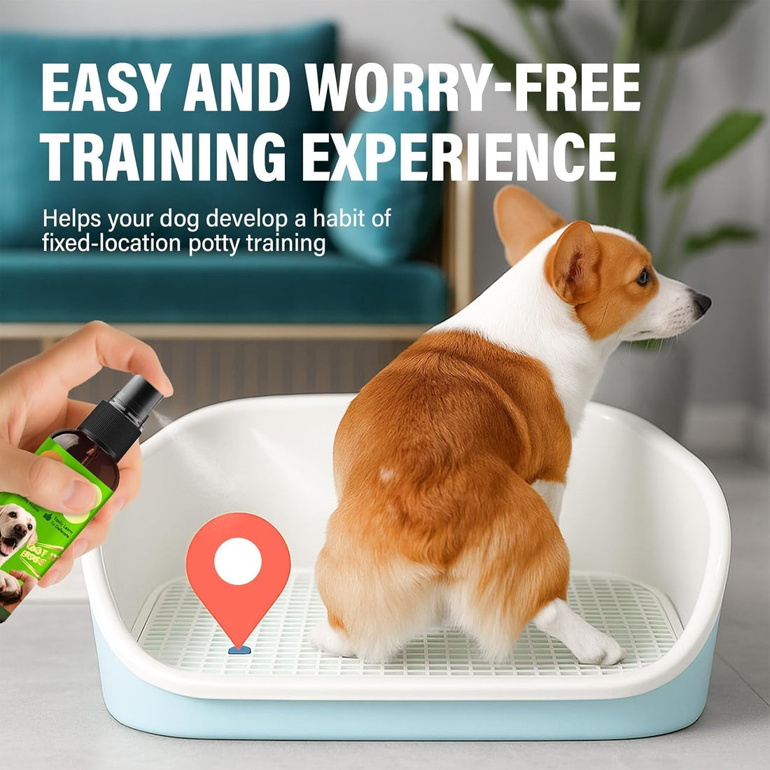 Potty Training Spray for Dogs, Indoor and Outdoor Housebreaking Aid