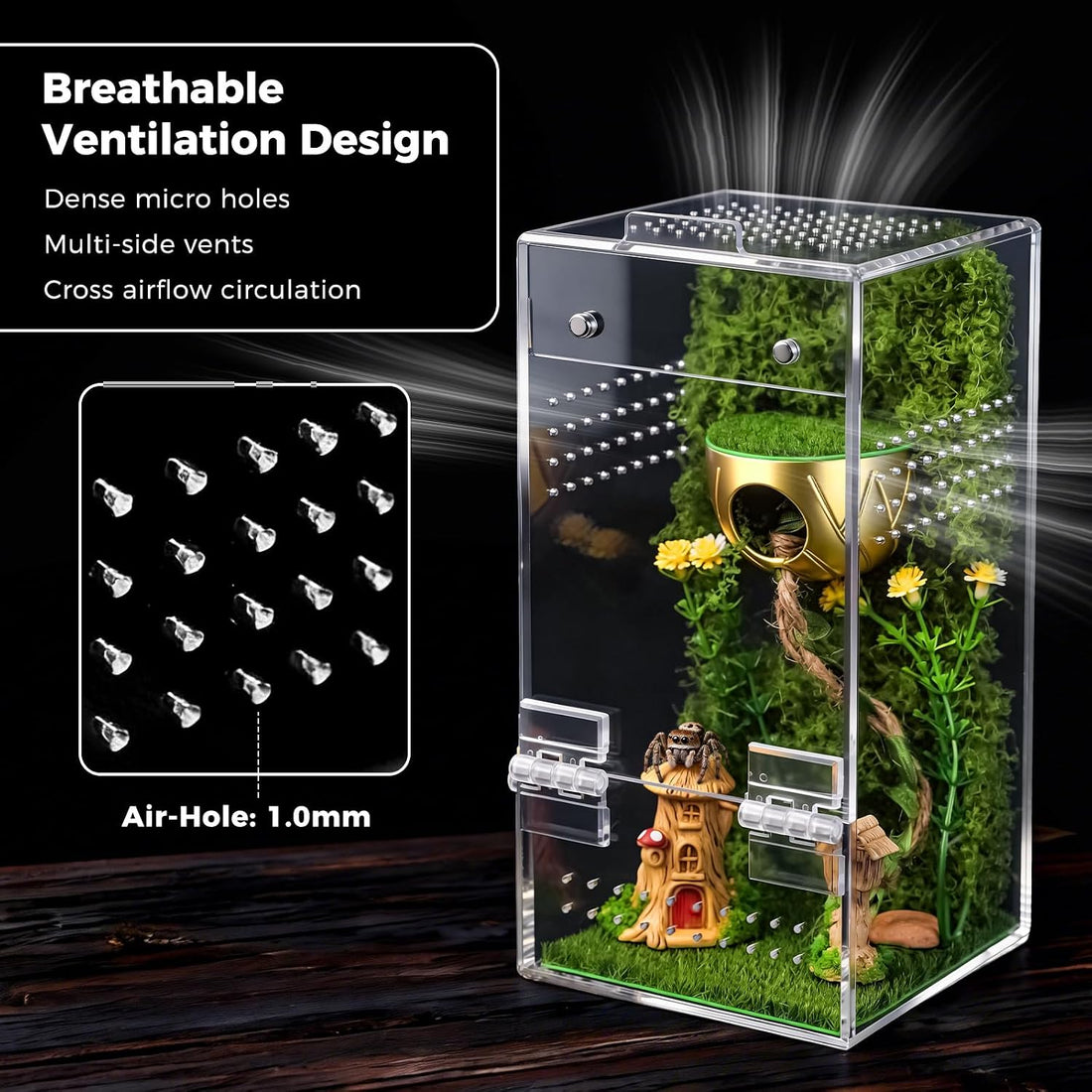 Jumping Spider Enclosure Kit