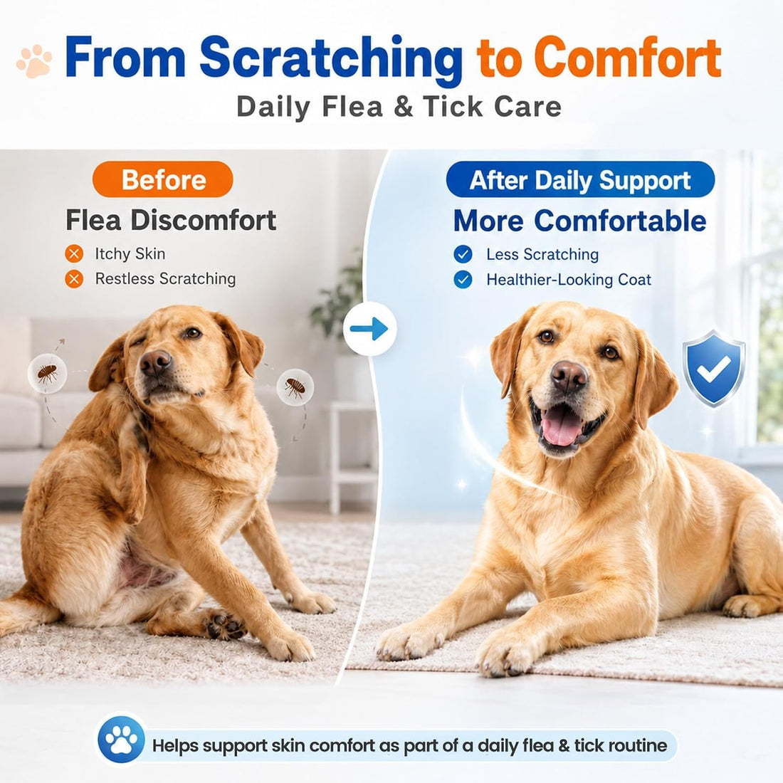 Carmelie Flea and Tick Prevention for Dogs