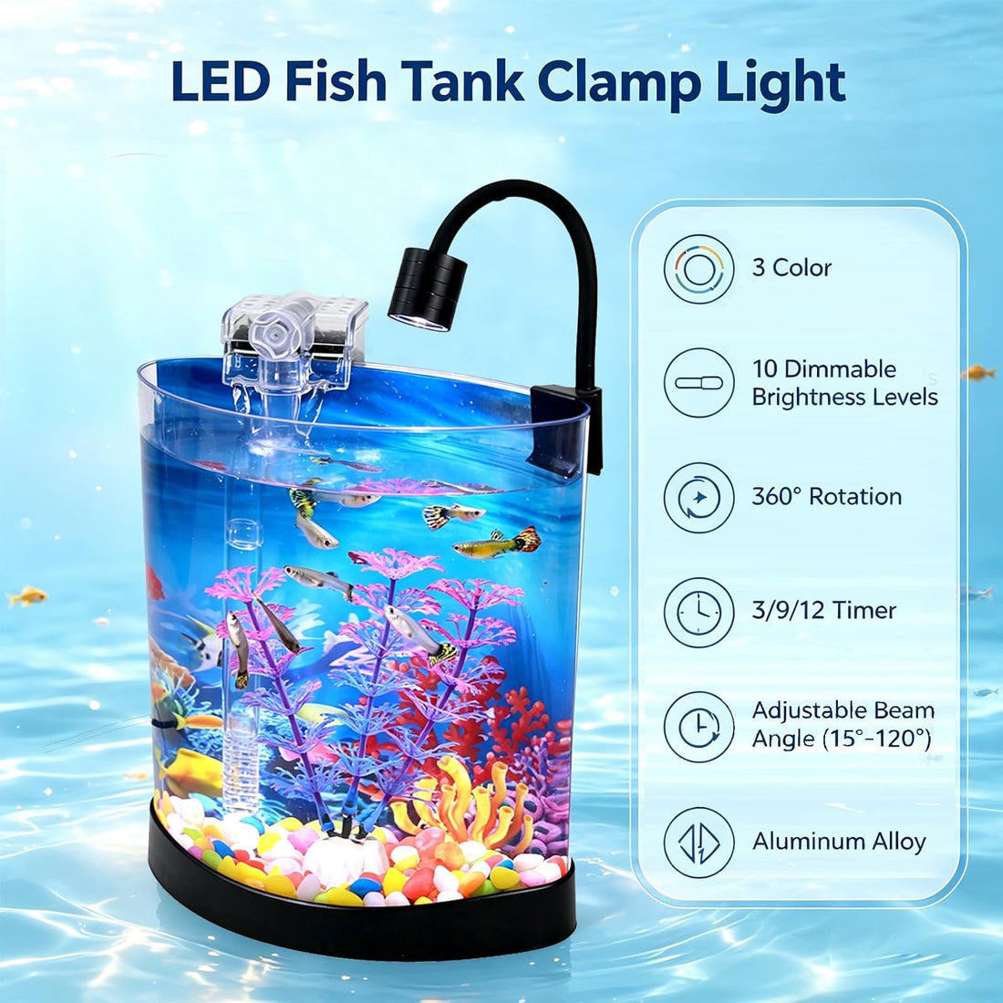 1 Gallon Fish Tank, Half Moon Shape, Mini Aquarium Starter Kit