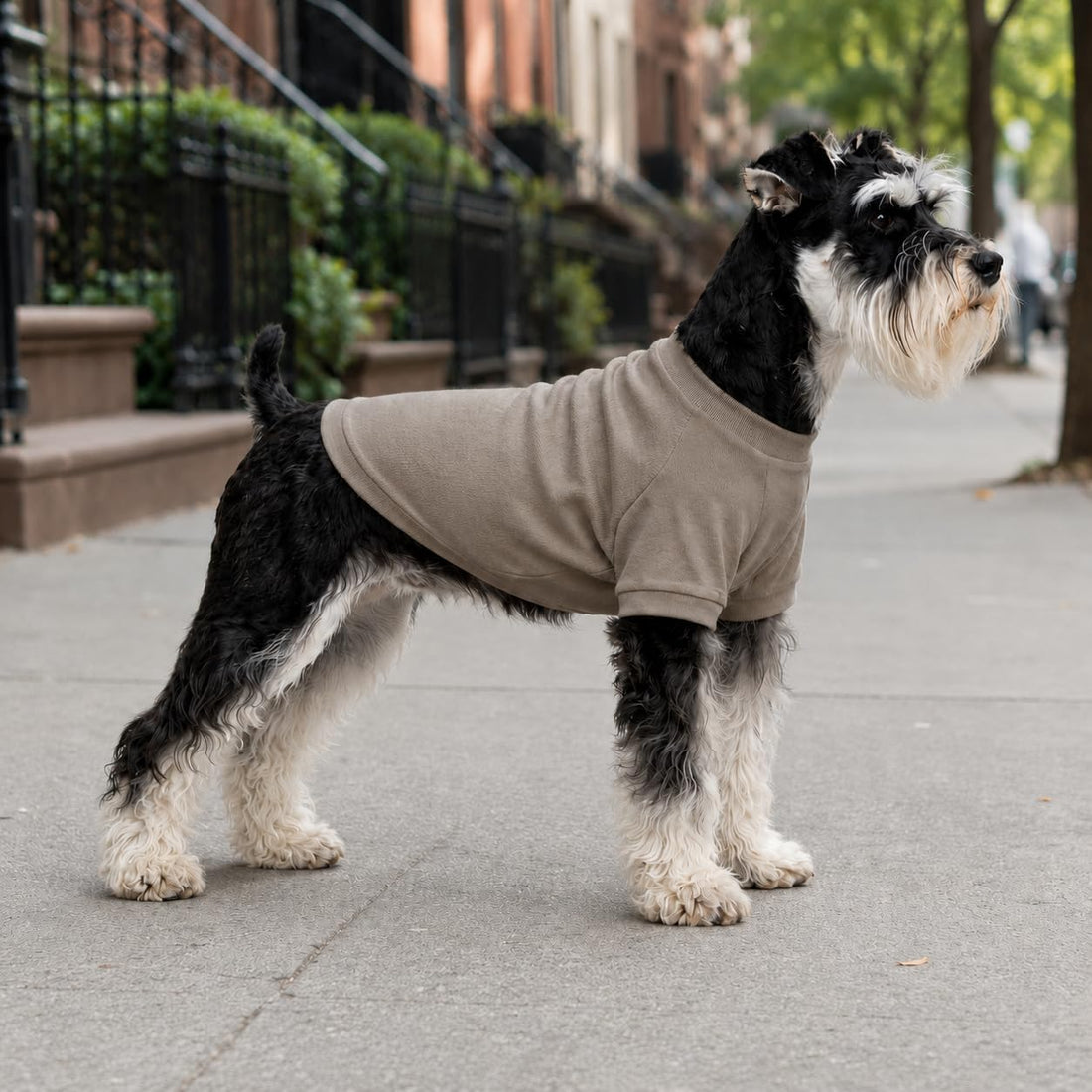 Lovelonglong Ribbed Dog T-Shirt Cotton Knitted Dog Sweaters for All