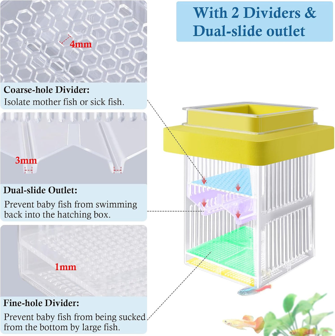 Floating Aquarium Breeding Box with Hatchery Box and Isolation Box