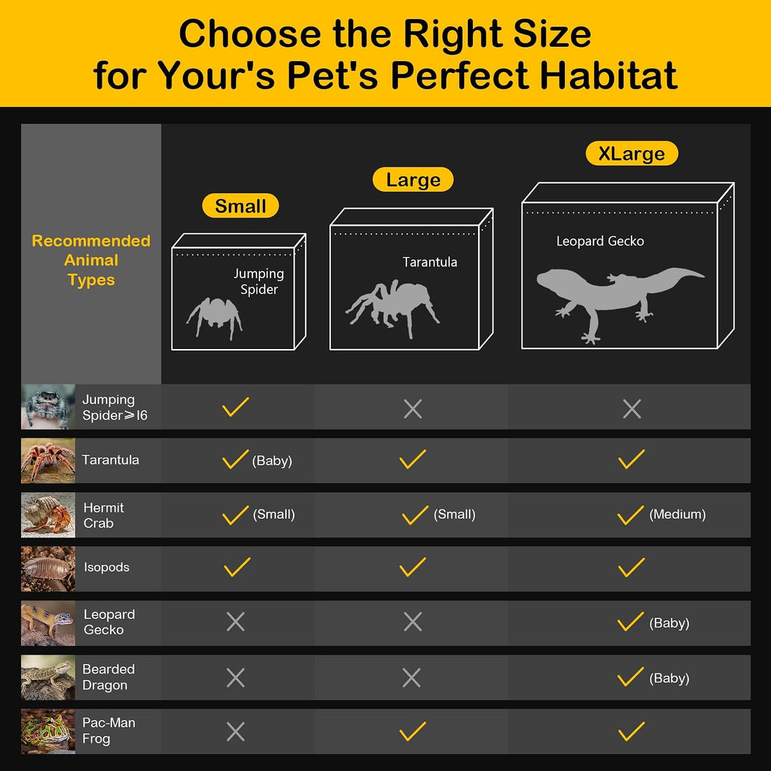 Large Reptile Tank PC Starter Kit, Magnetic Lid Tarantula Enclosure