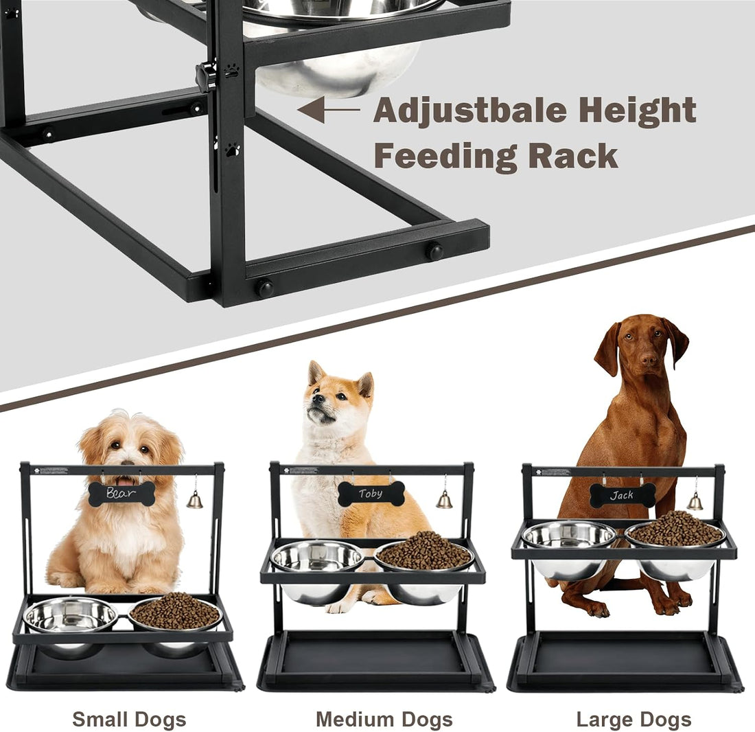 Elevated Dog Bowls with Slow Feeder for Large Dogs