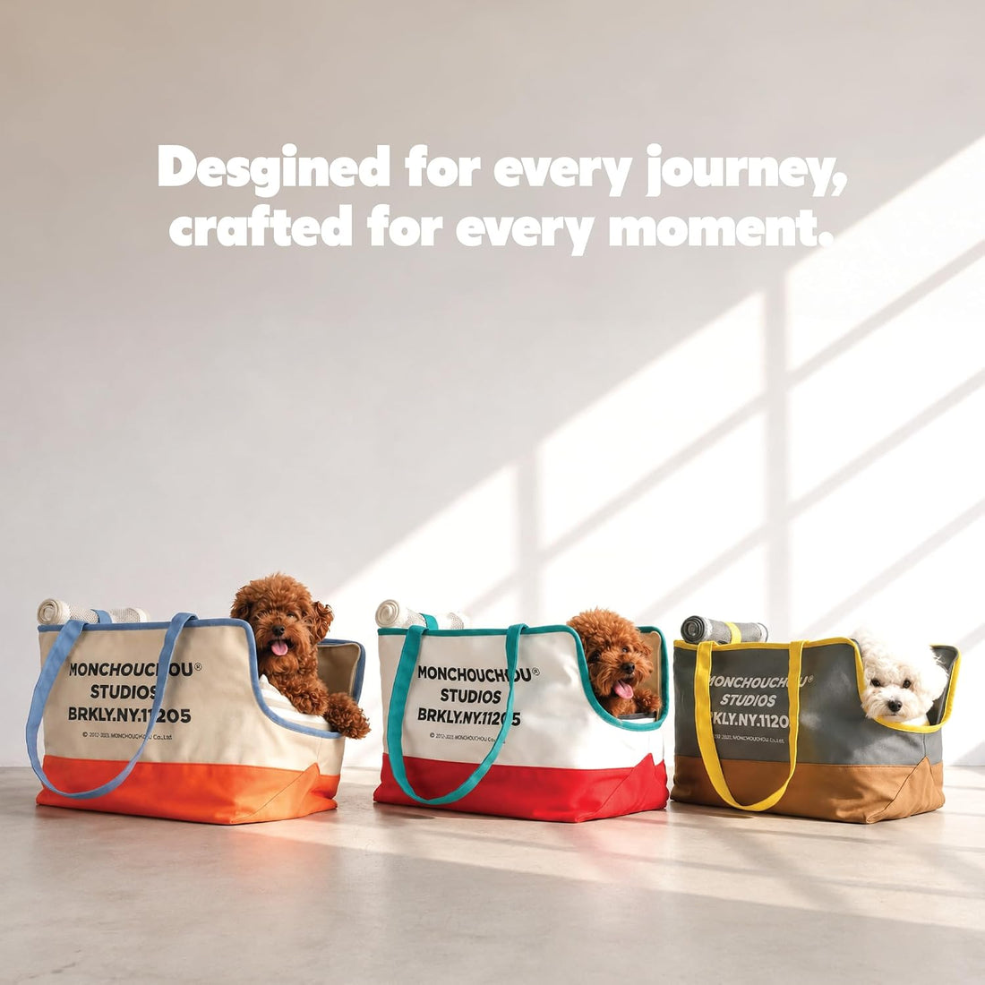 Dog Tote Bag for Small Dogs 4–20 lbs with Safety Leash