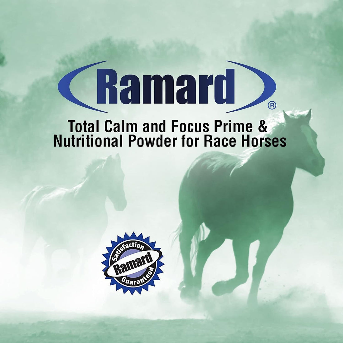 Ramard Total Calm & Focus Horse Calming Supplement, Magnesium
