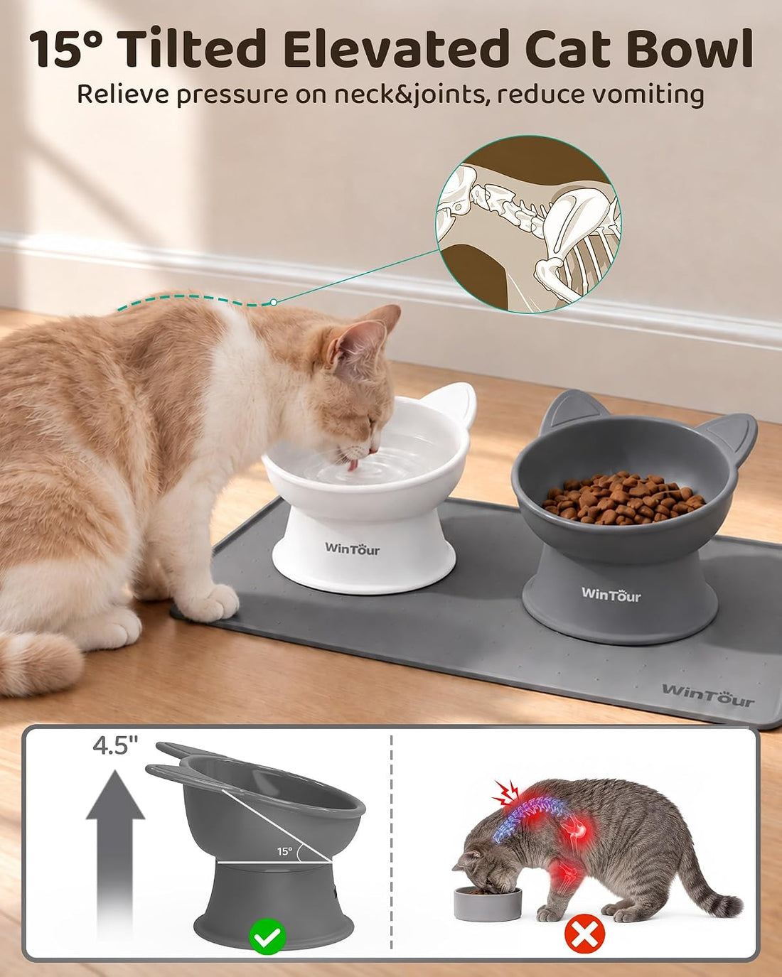 WinTour 2 Pack Elevated Cat Bowls with Food Mat