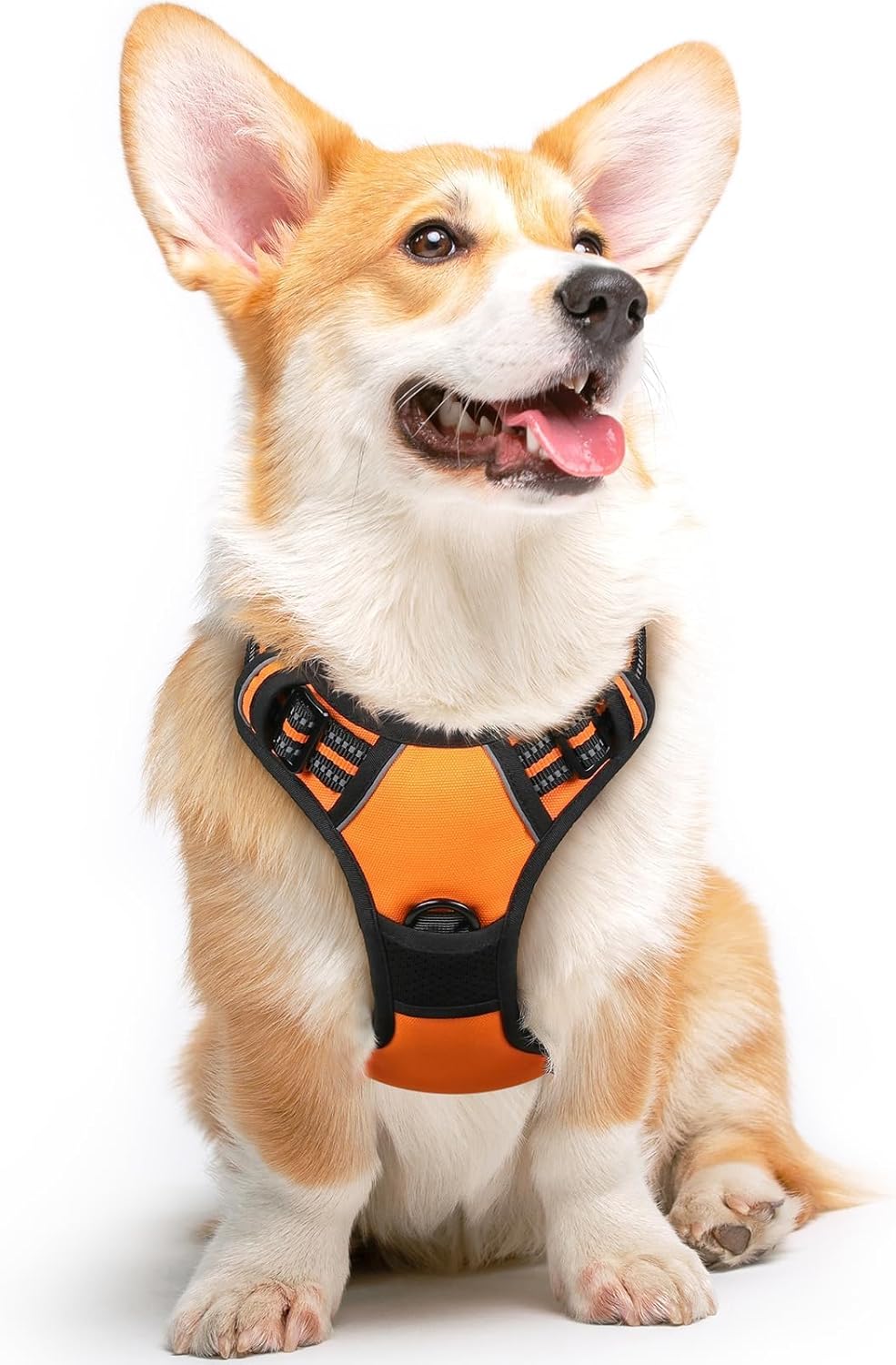 Eagloo Dog Harness for Medium Sized Dogs