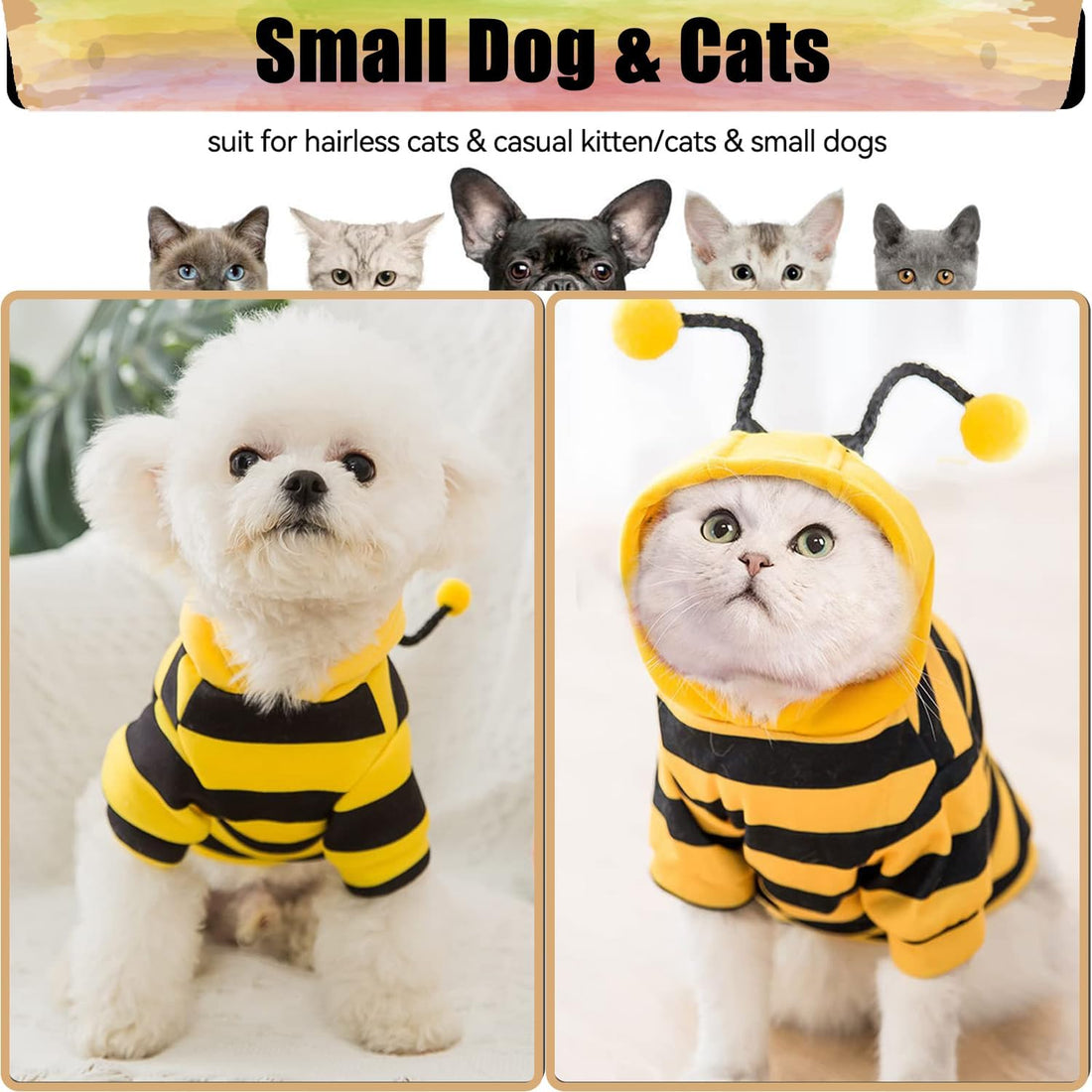 DENTRUN Sphynx Cat Sweater, Funny Bee Costume & Warm Breathable Top