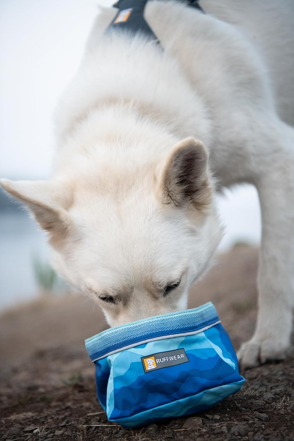 Ruffwear, Quencher Collapsible Dog Bowl