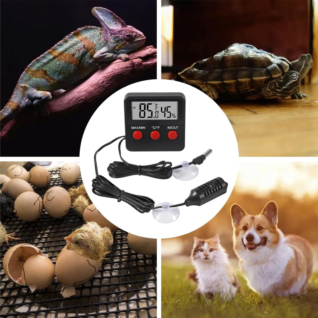 3PCS Digital Reptile Thermometer and Humidity Gauge Remote Probes