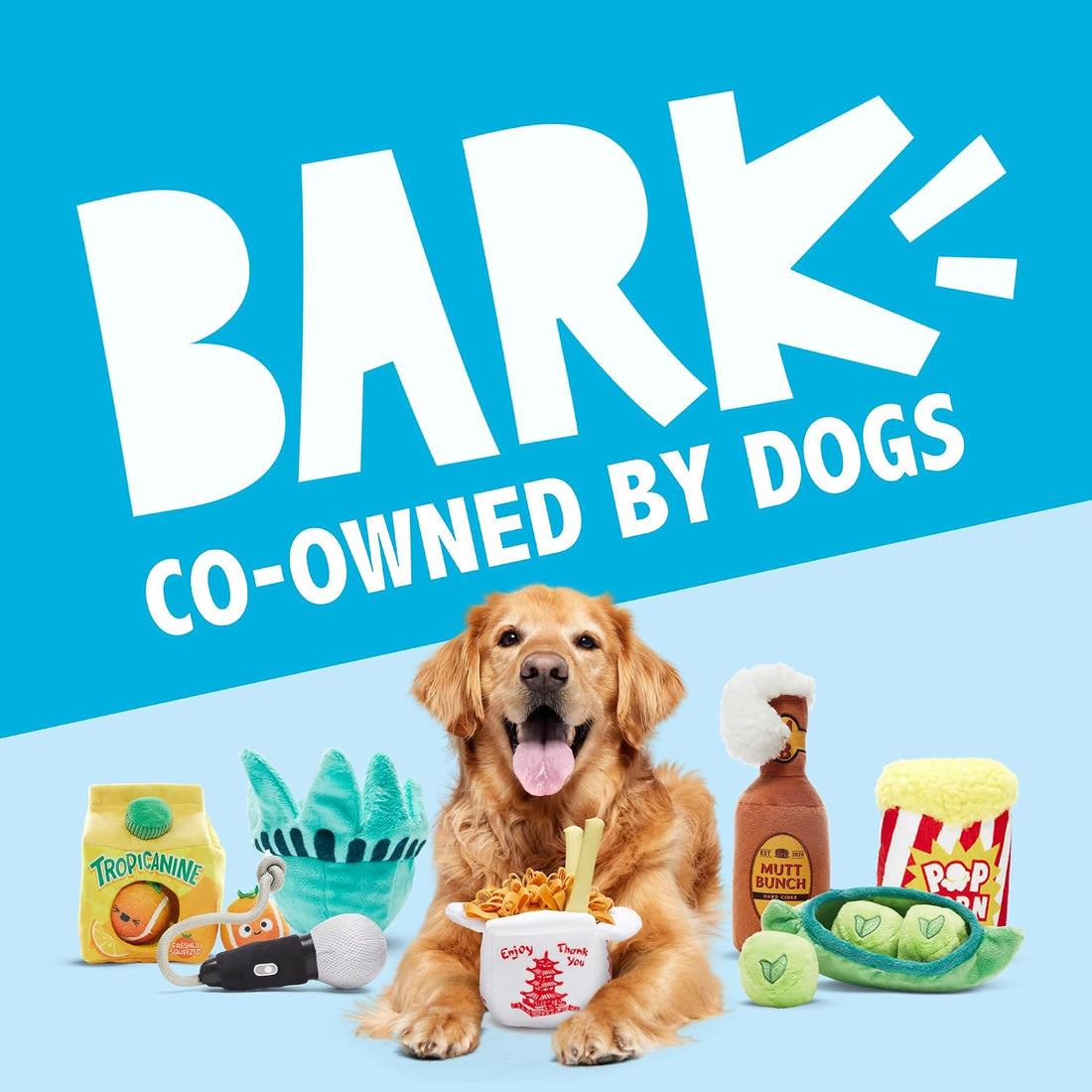 BarkBox Bark-B-Q Flying Disc Dog Toy - for Dogs