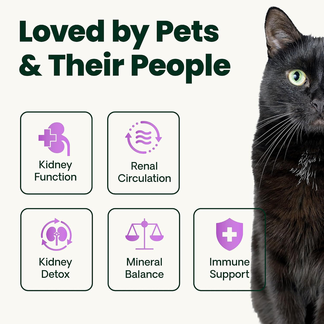 VetriScience Kidney Health Powder for Cats, Chicken & Cheese