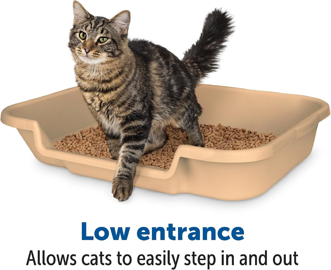 KittyGoHere Senior Cat Litter Box, Large Litter Pan, Beach Sand