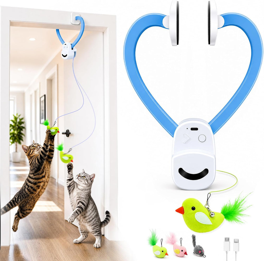 CATPICK Interactive Doorway Cat Toy