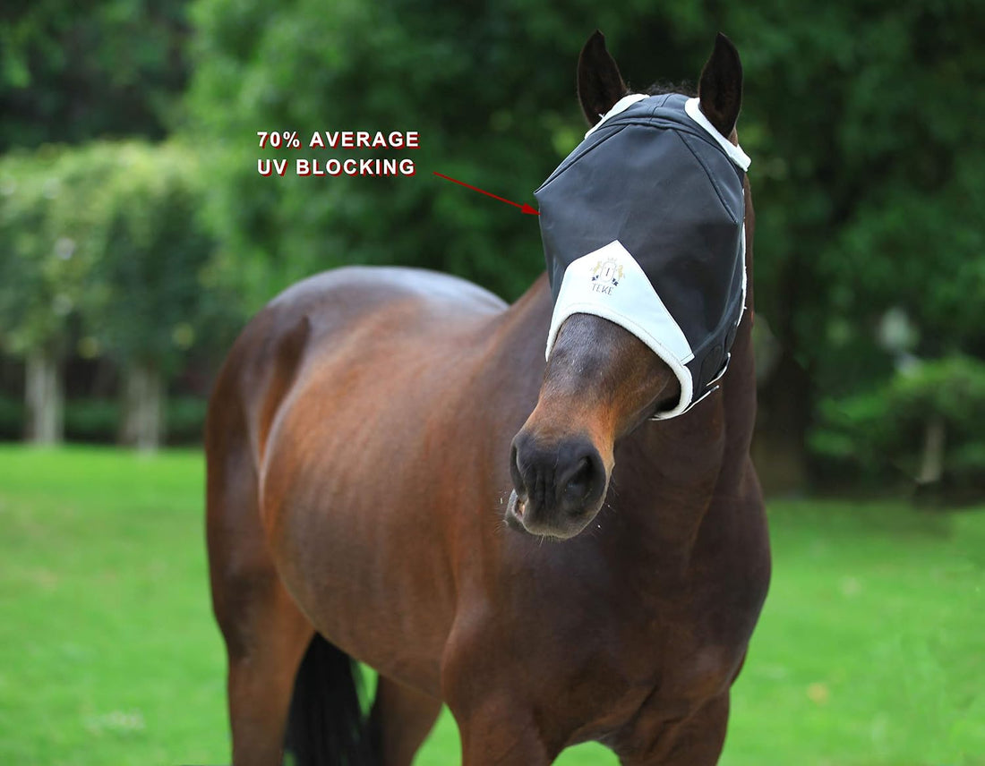 T TEKE Fine Mesh Horse Fly Mask w/No Ears