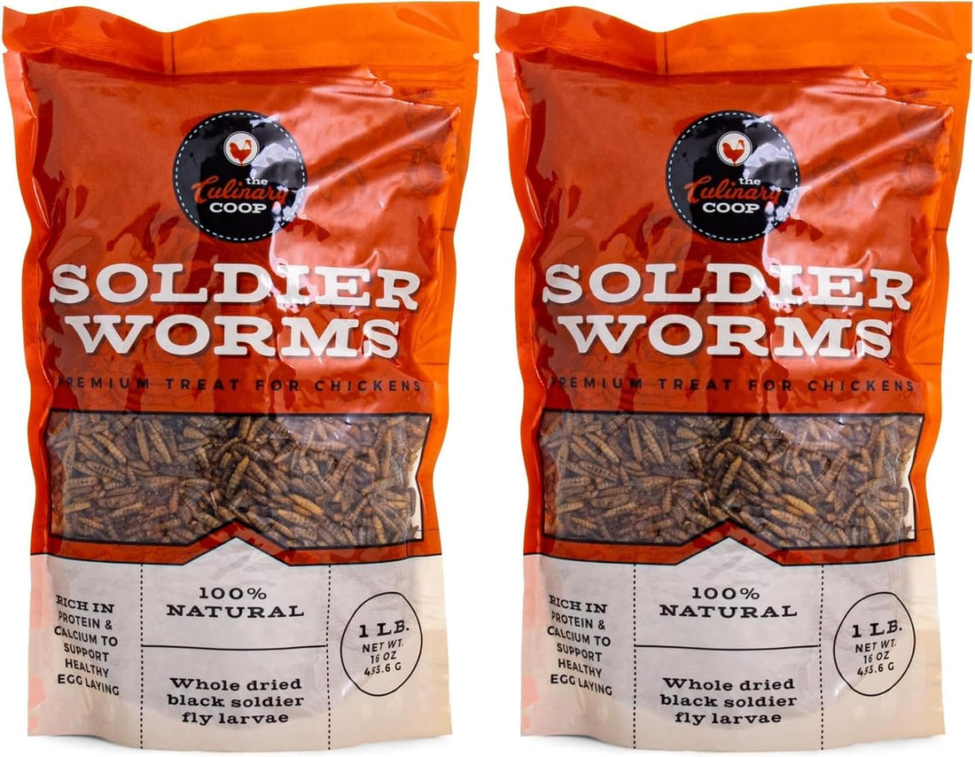 Fluker's Culinary Coop Premium Chicken Treats, Dried Soldier Worms