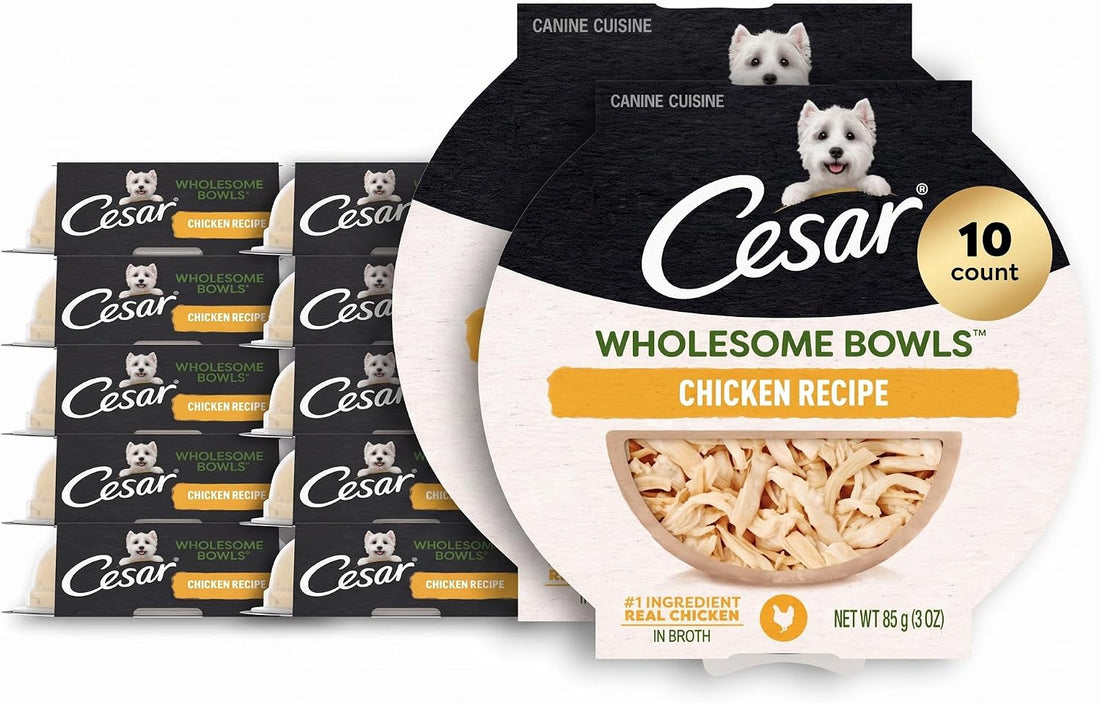 Cesar Wholesome Bowls Adult Wet Dog Food,Beef,Chicken,Purple Potatoes