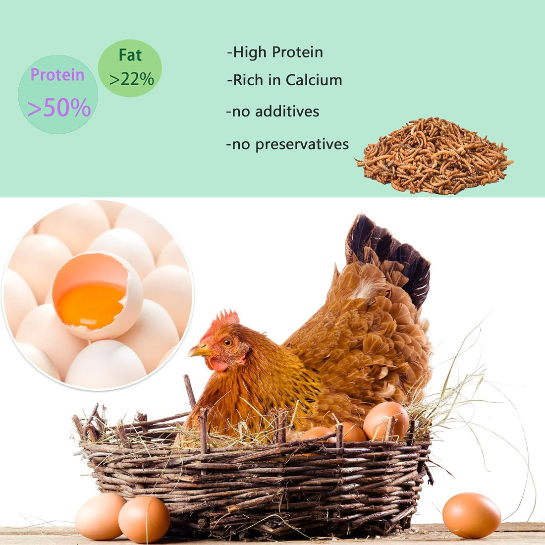 FCI GRUBS Dried Mealworms 5LB-High Protein Chicken Feed,More