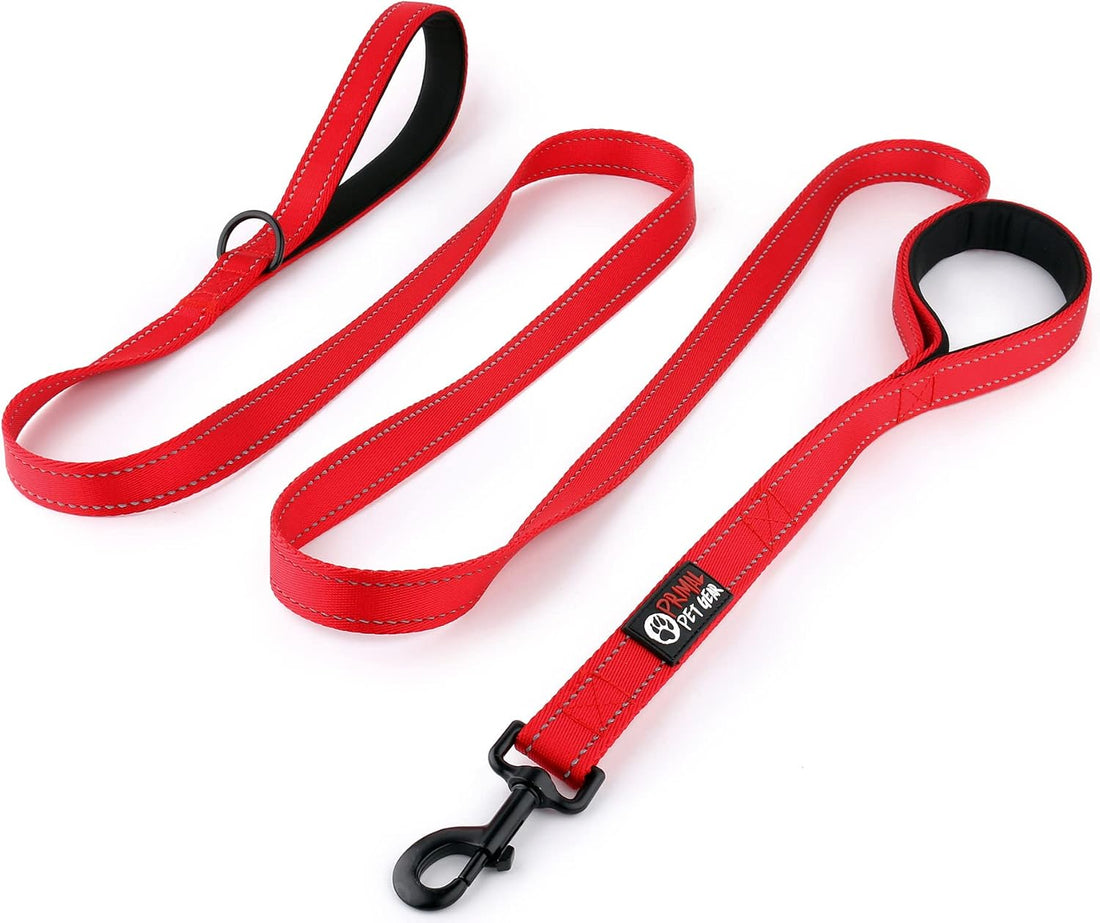 Primal Pet Gear Dog Leash 8ft Long - Blue - Traffic Padded Two Handle