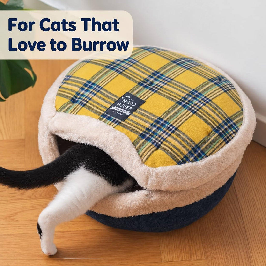 Cat Bed Cave - Enclosed Hideaway with Detachable Lid for Kitten