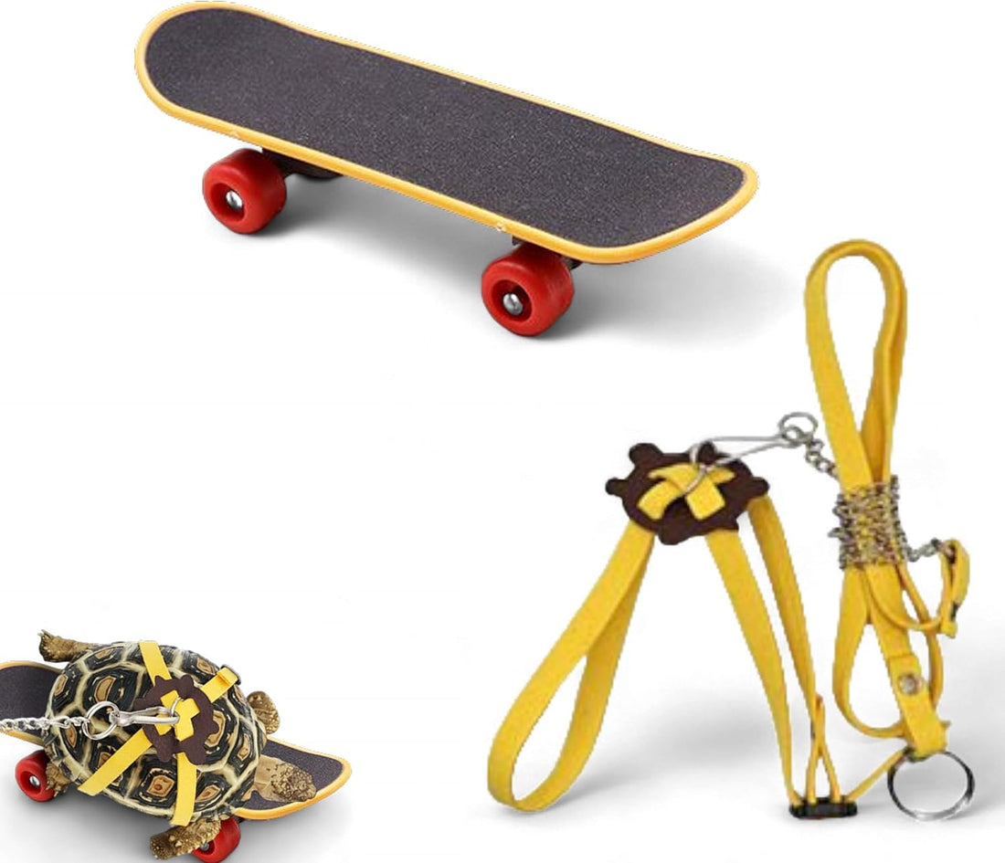 Adjustable Tortoise Leash and Funny Skateboard Set