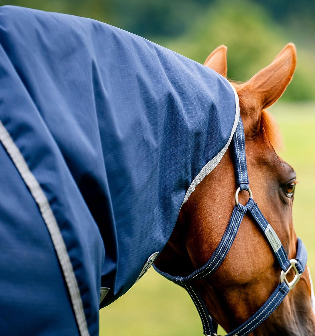 Horseware® Amigo® Ripstop 900D Plus Turnout 100g