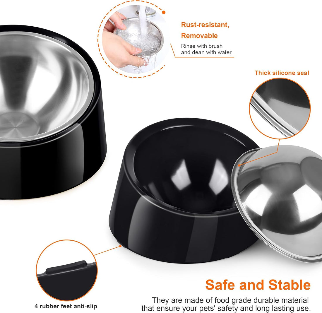 Tilted Dog Bowl Non-Slip & Non-Spill Pet Feeder with Elevated