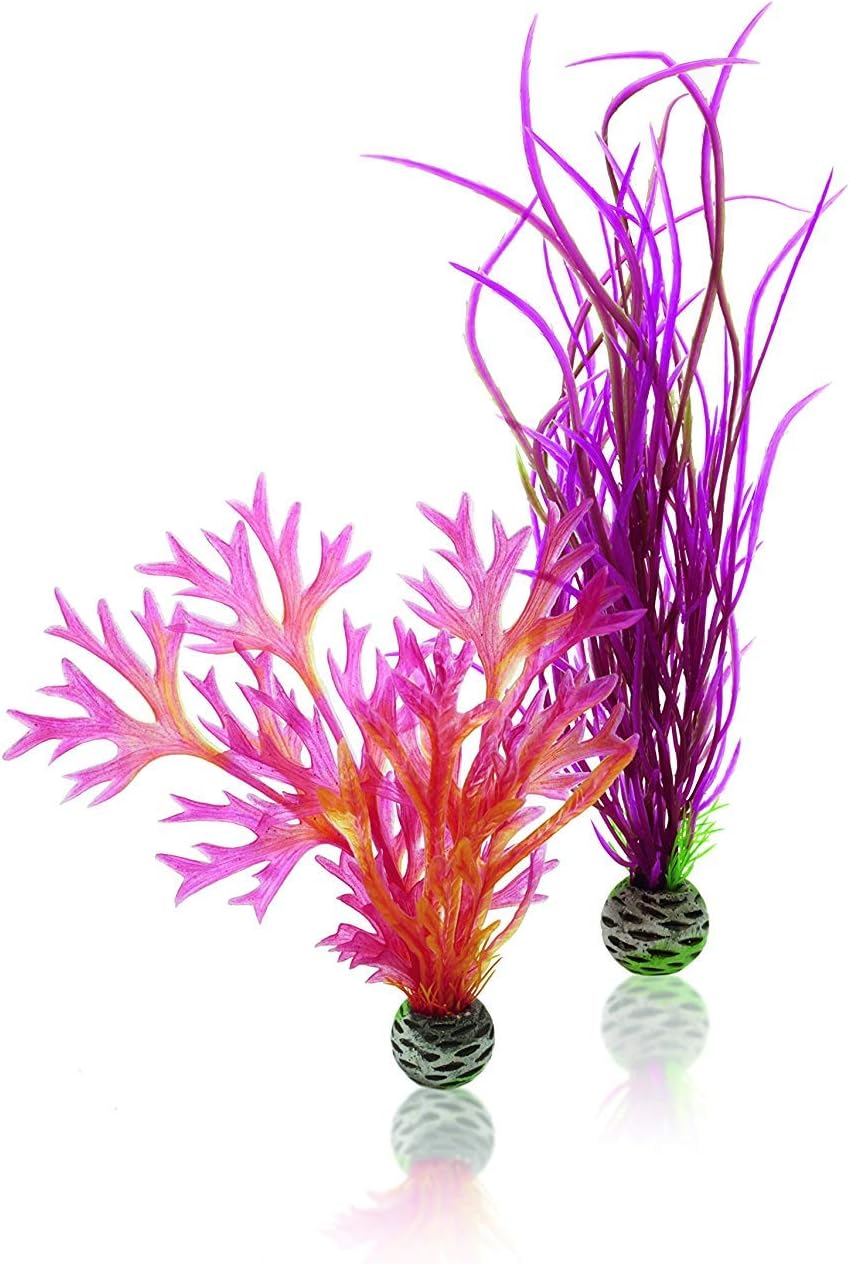 biOrb Silk Plant Set Medium Green & Purple