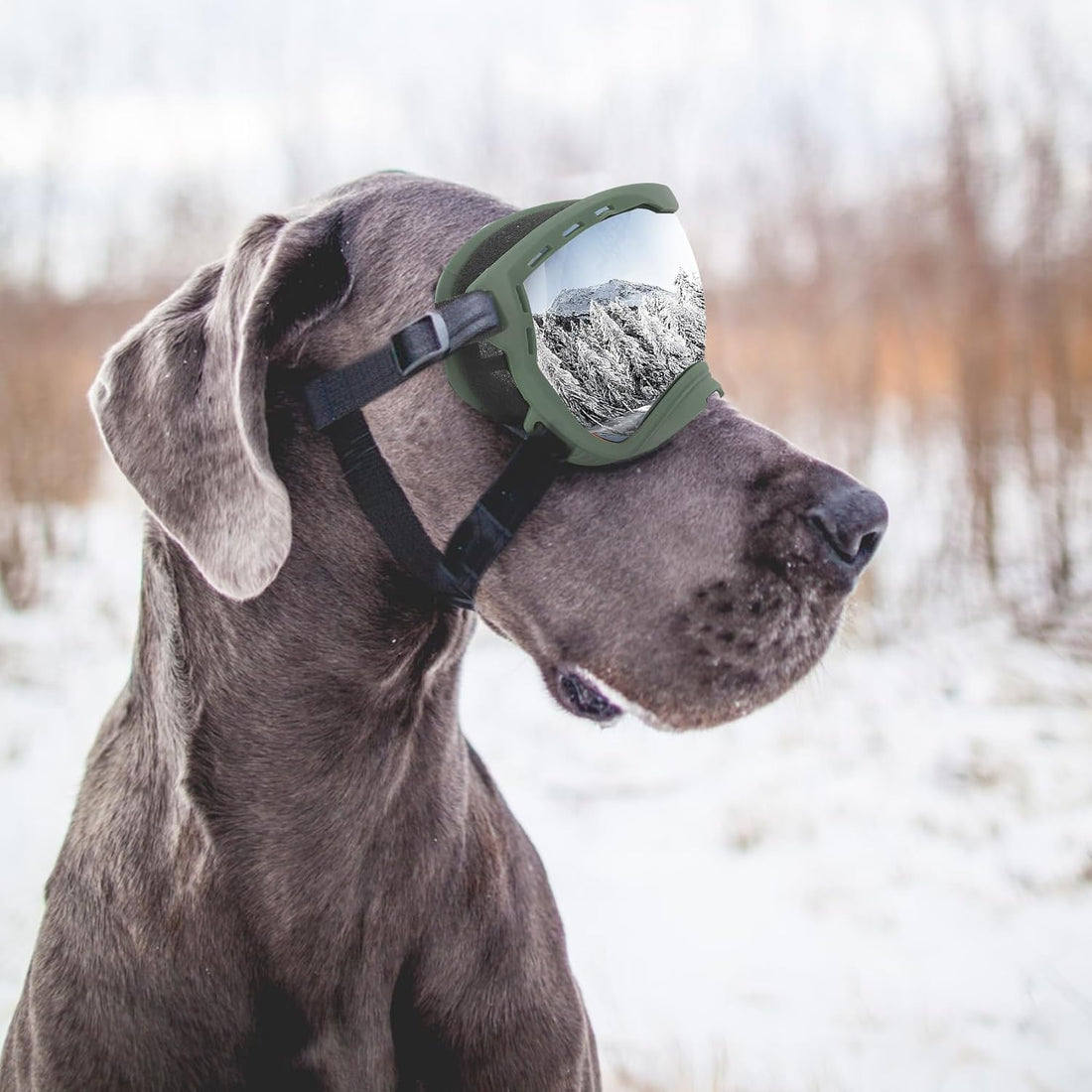 Flantor Dog Goggles for Large Dogs, UV Wind Dust Fog Protection
