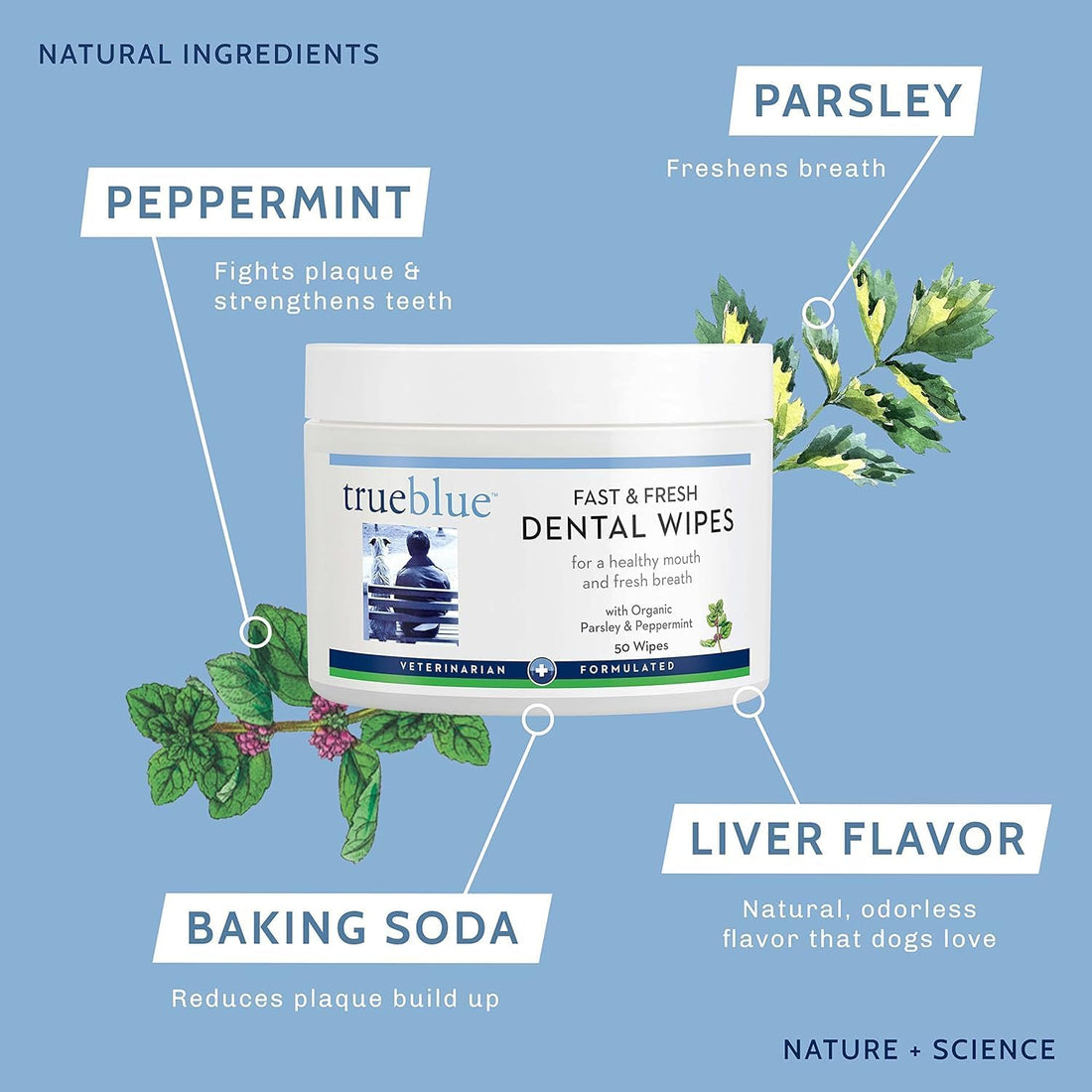 TrueBlue Dog Dental Wipes, Pre-Moistened Pads, Peppermint & Parsley